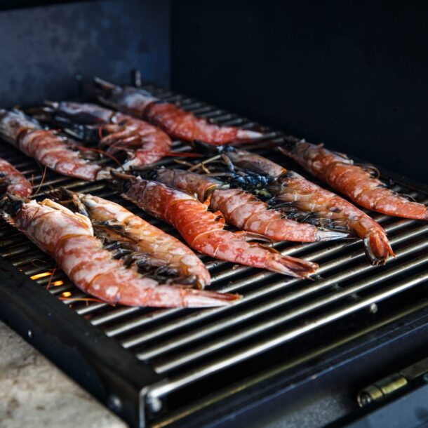 Merklinger Holzbackofen Grill Pizzaofen Brotbackofen ausziehbares Grillrost mit Garnelen